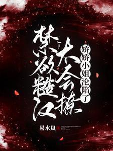 凰诀茴笙