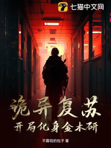 风起的日子歌词