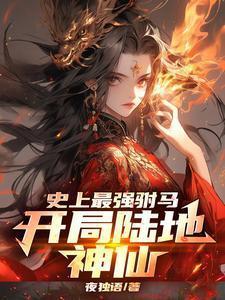 男神第一妻简介