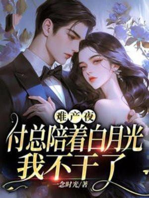 这个男宠我要了txt