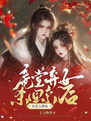 废后将军讲的什么