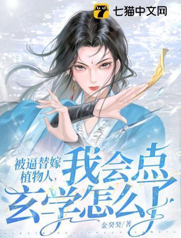 晨曦之雾书评