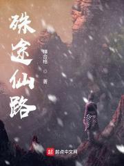 愤怒的老马完整版