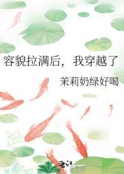 极道追杀淮上TXT