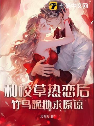 顾惜朝所著兵书叫什么