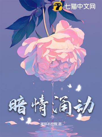 漂洋过海来爱你歌词