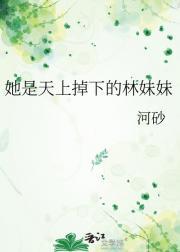 宝贝龙