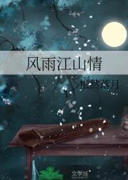 风雨江山情