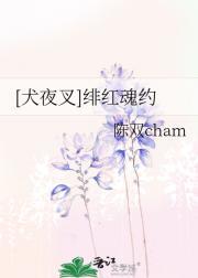 今夕何朝讲的什么
