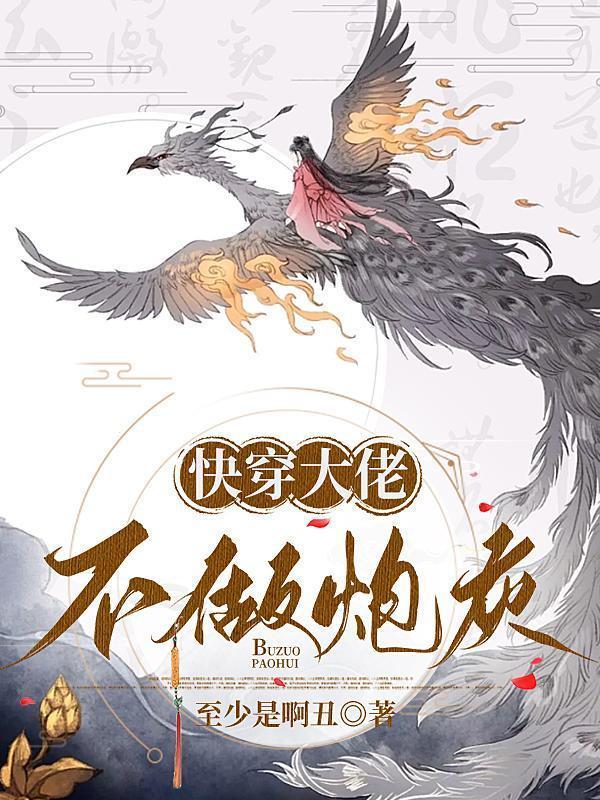 衣下之臣连城雪讲了什么