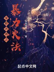 少爷与我的罗曼史 电视剧