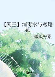 不如随心by桔子树讲的什么