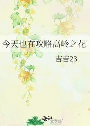 今天也在攻略高岭之花