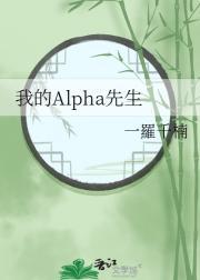 我掩护txt