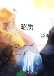 昭质