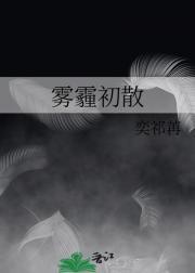 登顶中央的长篇官场