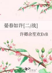 情陷检察官电视剧免费观看