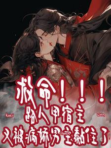 四夷译字传奇讲了什么