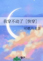 我穿不动了［快穿］