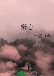 孙哲叶巧阴阳圣心诀都市之医武风流
