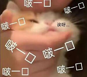 后来我们都哭了1-40集全剧情介绍