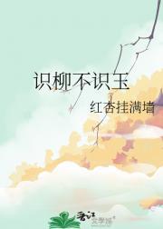 识柳不识玉
