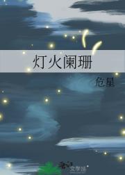 灯火阑珊