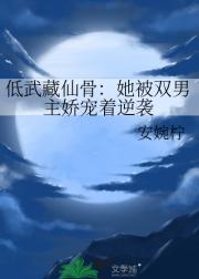 七根凶简讲的什么故事
