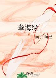 孽海缘