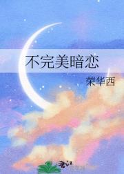 不完美暗恋