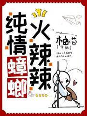 混沌书苑是啥