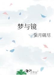 梦与镜