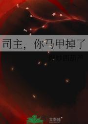司主，你马甲掉了
