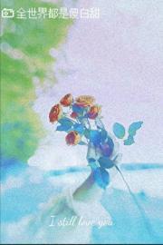 全世界都是傻白甜