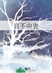 言不由衷