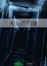 未知的归途