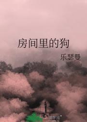 房间里的狗