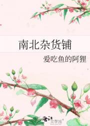 南北杂货铺