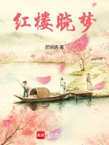 红楼窃玉