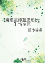 【魔道祖师蓝思追bg】情凌愿