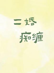 二婚痴缠