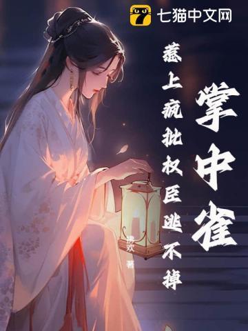 时光之城城主
