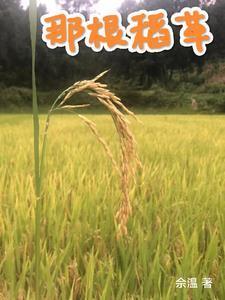 医权在握最新章节